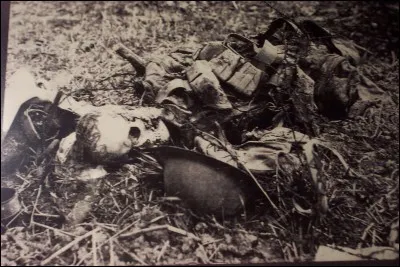 Quelle arme a été découverte par les Allemands pendant la Première Guerre mondiale ?