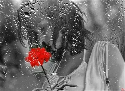 Quel est le titre de la chanson d'Anne Vanderlove dans laquelle on entend "Il pleut sur le jardin sur le rivage, et si j'ai de l'eau dans les yeux, c'est qu'il me pleut sur le visage" ?