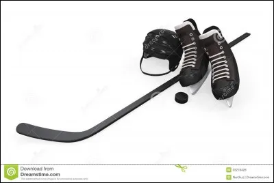 Je ne vous cherche pas des crosses, alors bonne glisse !