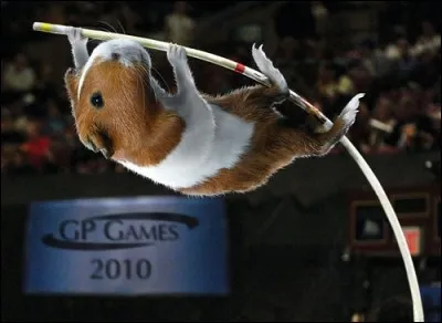 Identifiez le sportif, dans un élan !