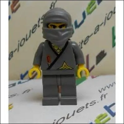 Comment s'appelle le Ninja gris ?