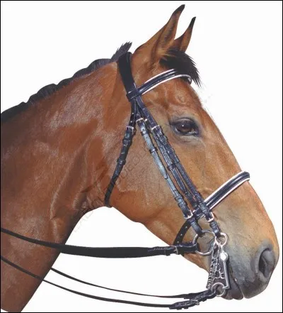 Quelle est la partie qui passe sur le nez ?