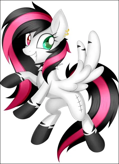 Cette speedpainteuse assez connue est :