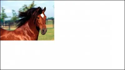 Et celle-ci ?
Arriveras-tu à me dire quelle est sa couleur ?