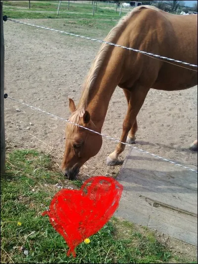 Tu es un génie ! 
Quelle est sa robe ?