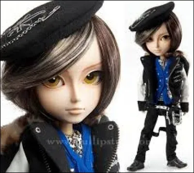 Quel est le modèle de ce Taeyang ?