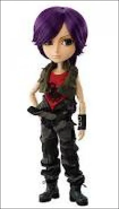 Quel est le modèle de ce Taeyang ?