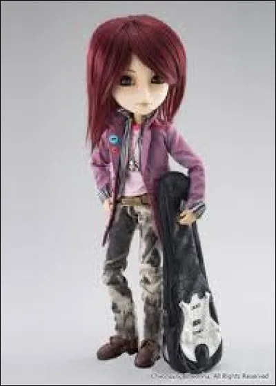 Quel est le modèle de ce Taeyang ?