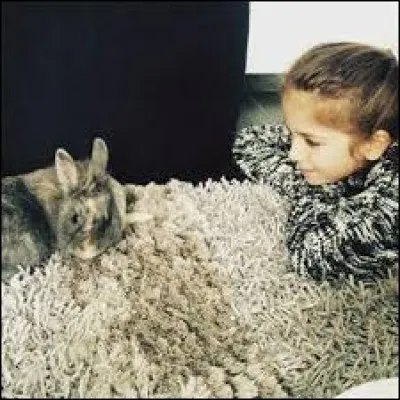 Comment s'appelle le lapin d'Erza ?