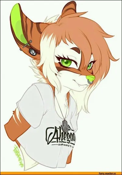 Comment se nomment ces mi-animaux/mi-humains ?