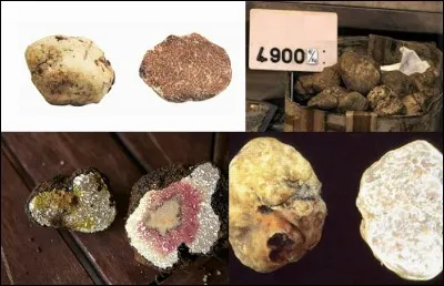 Gastronomie : 
Ne lâchez pas le chien ou le cochon, vous risqueriez de la perdre ! Mais quelques copeaux suffiront à vous amener au paradis !
Qu'est-ce que c'est ?