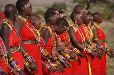 Dans quels pays d'Afrique habitent principalement les Maasaïs ?