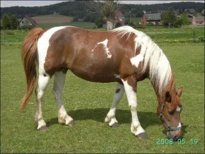 Quelle est cette robe ?