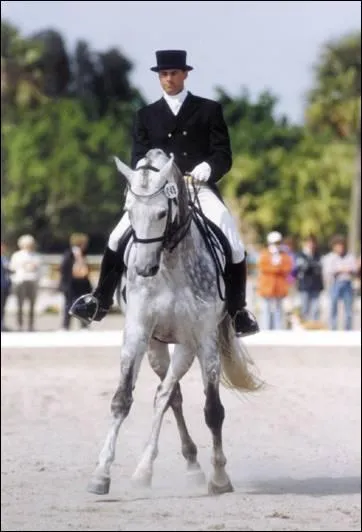 Quelle est cette discipline ?