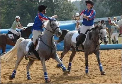 Quelle est cette discipline ?