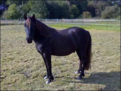 Quelle est cette robe ?