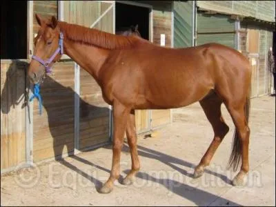 Quelle est cette robe ?