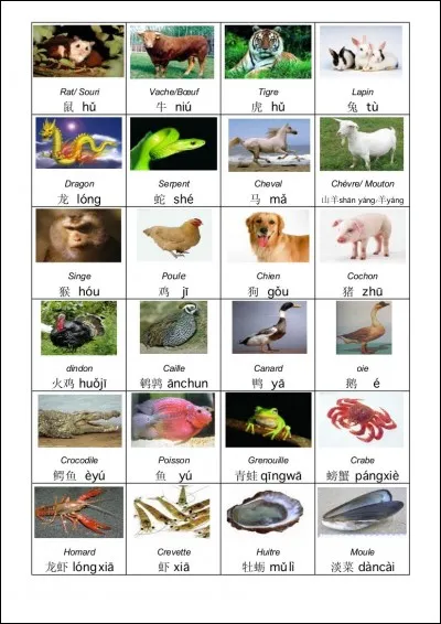 Quel est ton animal préféré ?