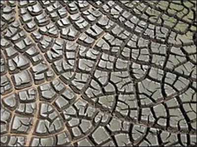 Si je vous dis : « Se lézarde au soleil », vous répondez :