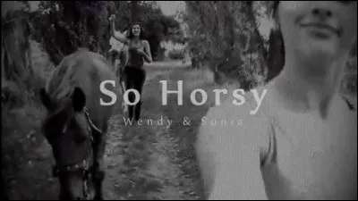 À quoi correspond cette image ?