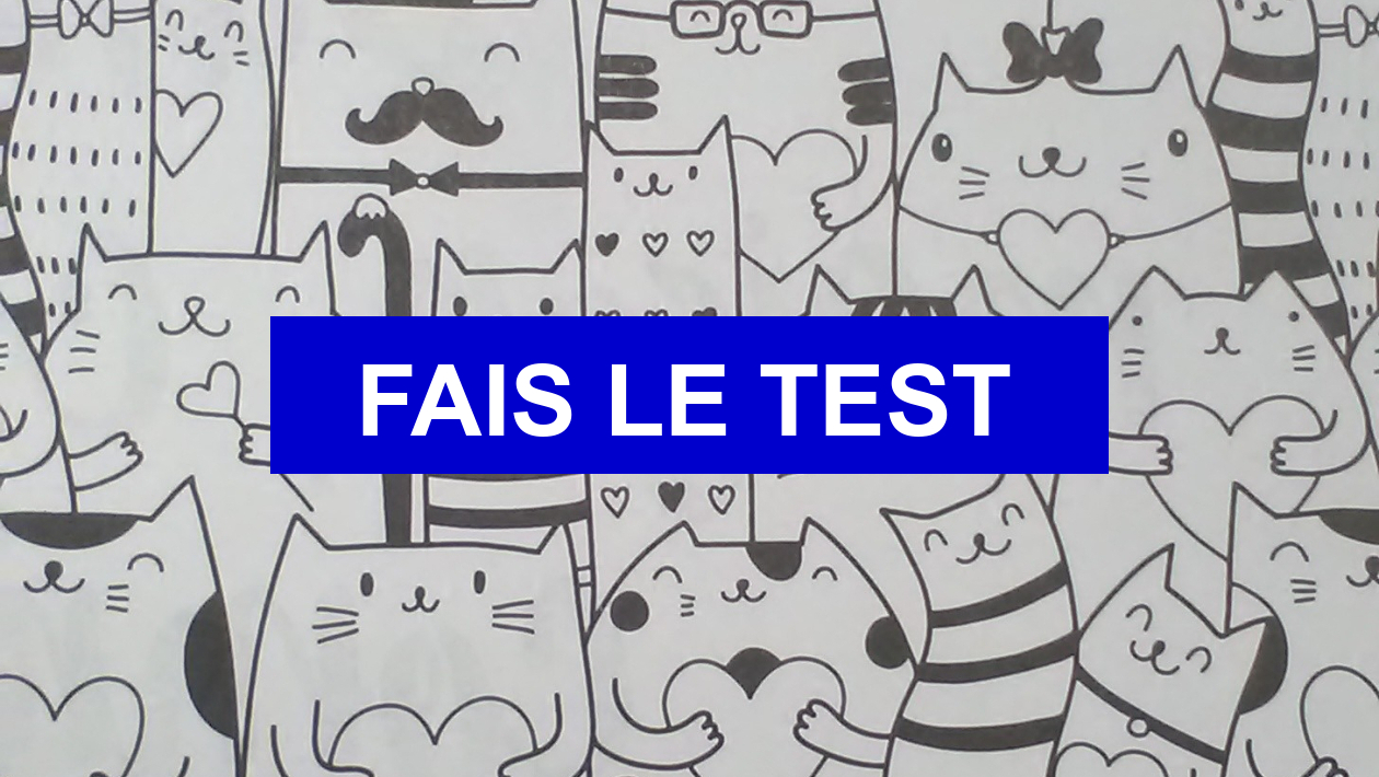 Quelle Race De Chat Es Tu