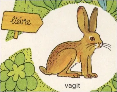 Pour ne pas me retrouver assis entre 2 chaises, combien n'est-il pas conseillé d'en courir à la fois ?