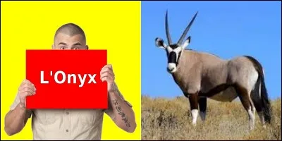 Quelle est la bonne réponse ?