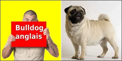 Quelle est la bonne réponse ?