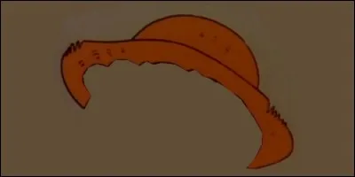 Quel habitant du Mississippi porte ce chapeau de paille ?