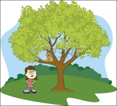 Une dame n'arrive pas &agrave; faire descendre son chat de l'arbre :