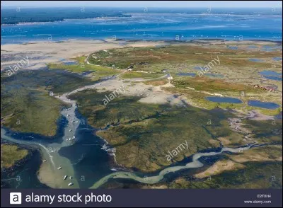 Je suis tombé pour elle, je n'ai d'yeux que pour elle,... (complétez) :