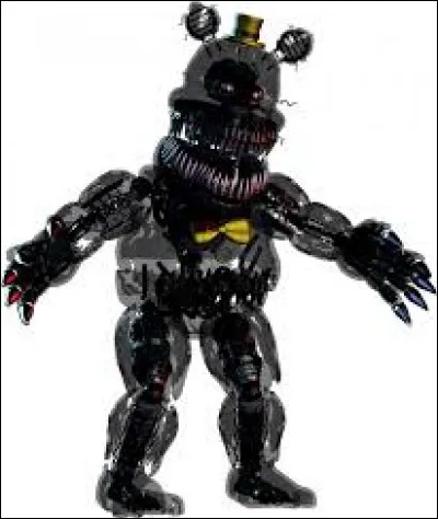 Comment s'appelle l'ombre de Nightmare Fredbear ?