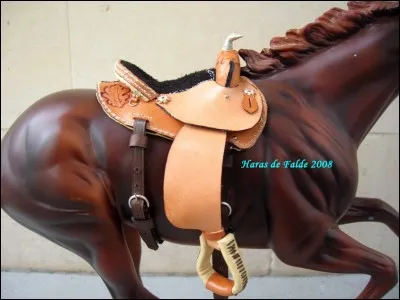 Comment s'appelle la partie arrière ?