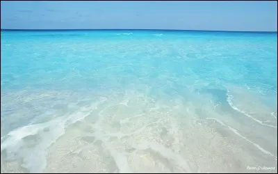 En vacances, tu vois un crabe vivant et ta pote est allée dans l'eau. Elle revient ...