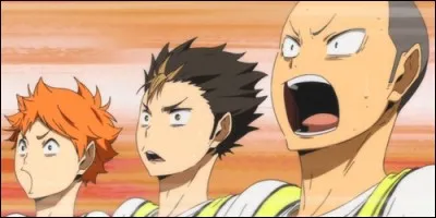 De quel sport parle-t-on dans "Haikyū !" ?