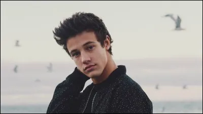 En quelle année Cameron s'est-il fait connaître ?