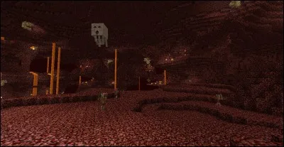 Que peut-on trouver dans le Nether ?