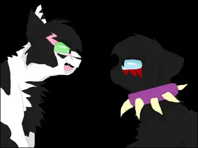 Combien de chattes Étoile de Feu a-t-il aimées ?