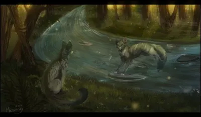 Comment le physique de Plume Grise est-il ?