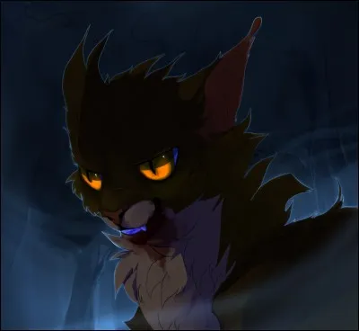 Que veut Étoile du Tigre ?