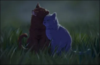 Étoile Bleue est tombée amoureuse d'(e)...